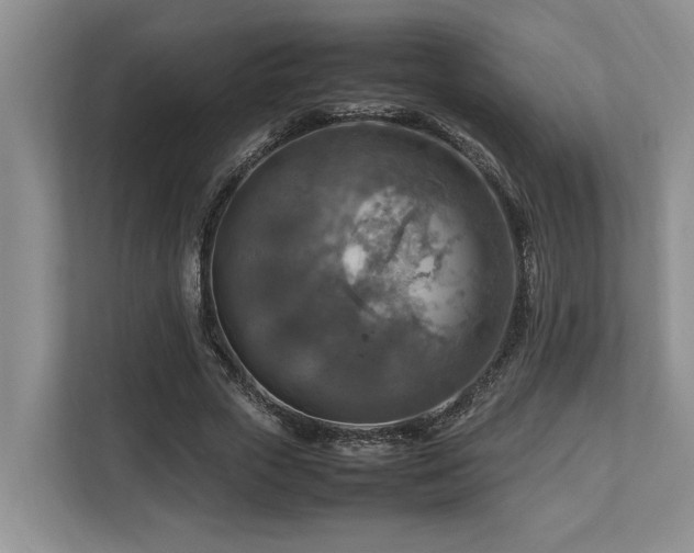 X0000112950729200908241342