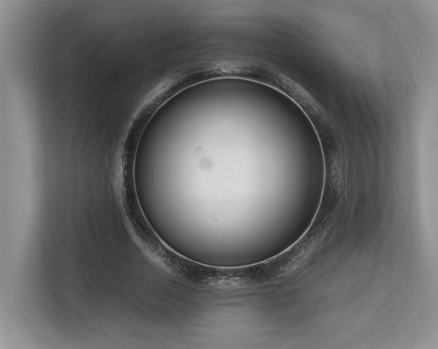 X0000112950730200908241342