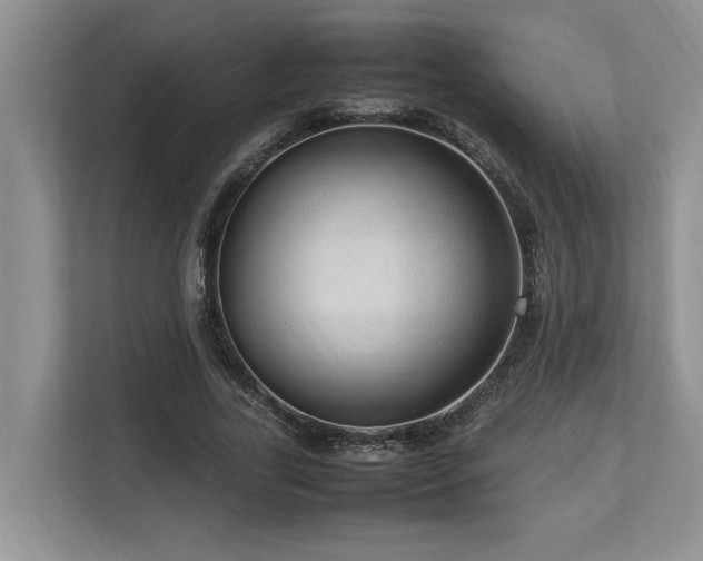 X0000112950731200908241342