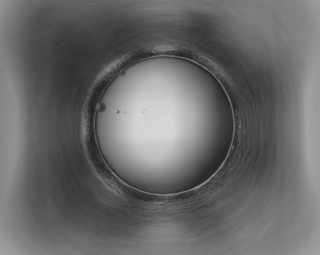 X0000112950732200908241342