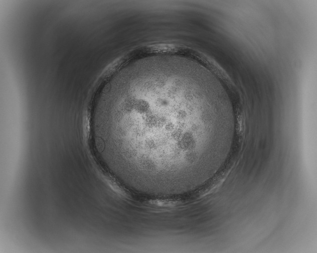 X0000112950733200908241342