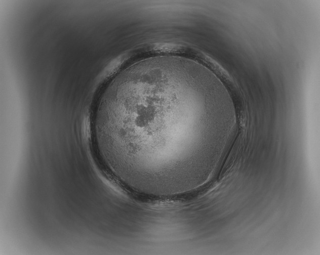 X0000112950734200908241342