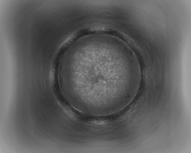 X0000112950735200908241342