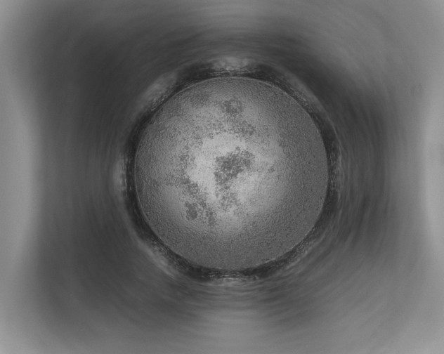 X0000112950738200908241342