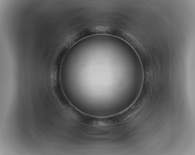 X0000112950739200908241342