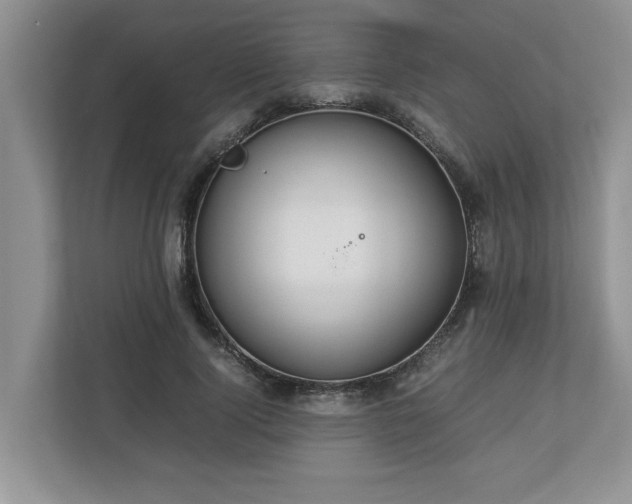 X0000112950740200908241342