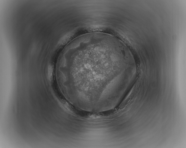 X0000112950742200908241342