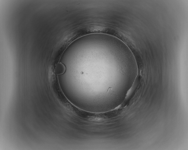 X0000112950743200908241342