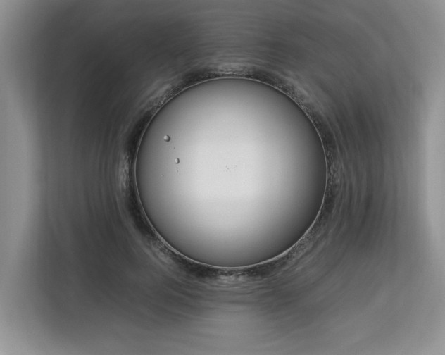 X0000112950744200908241342