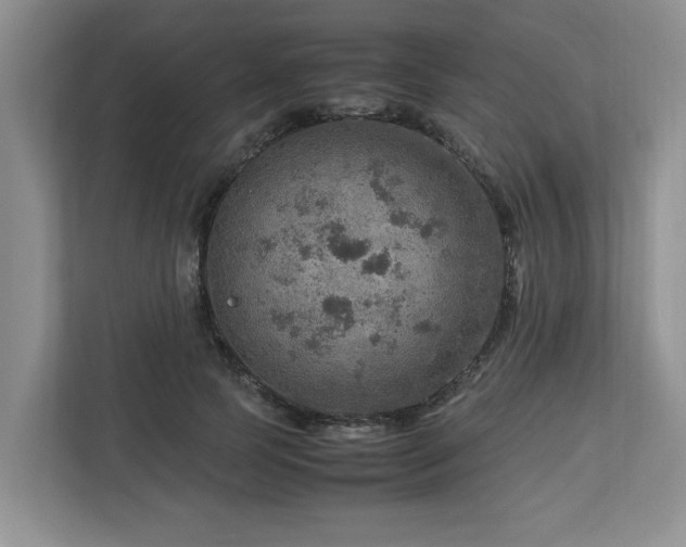 X0000112950745200908241342