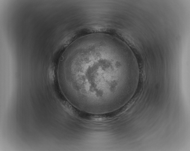 X0000112950746200908241342