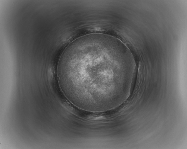 X0000112950747200908241342