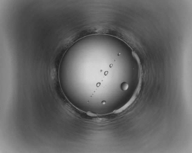 X0000112950748200908241342