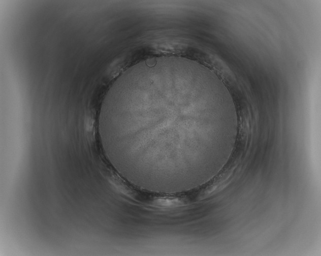 X0000112950749200908241342