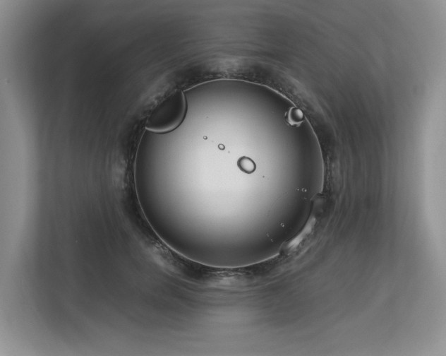 X0000112950750200908241342