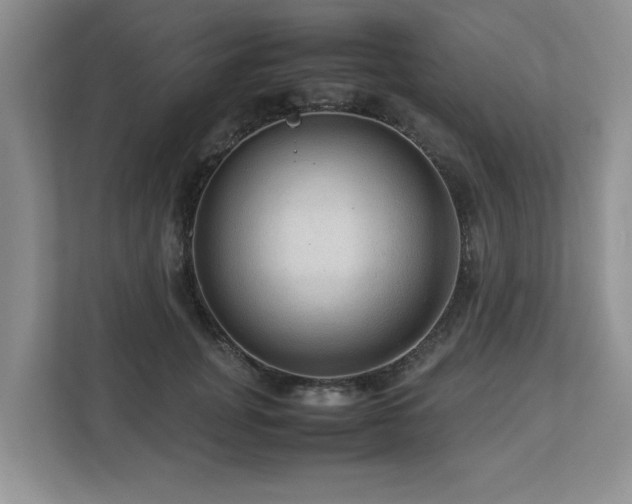 X0000112950751200908241342