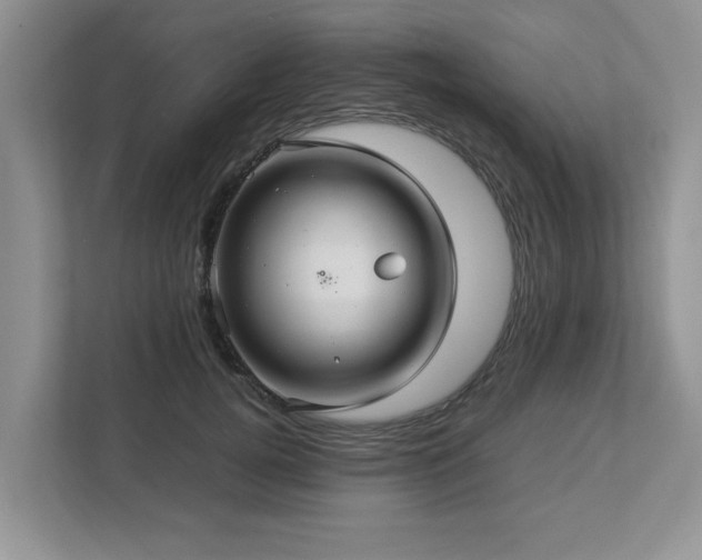 X0000112950752200908241342