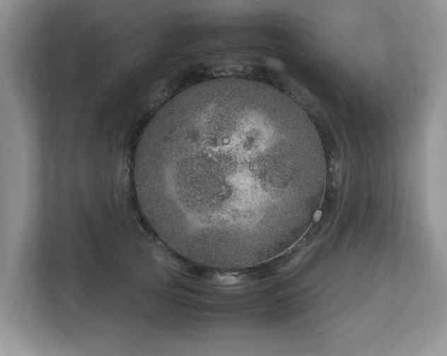 X0000112950753200908241342