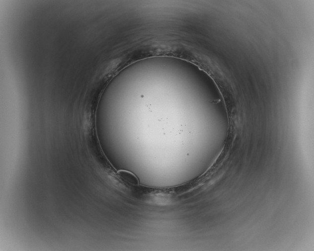 X0000112950756200908241342