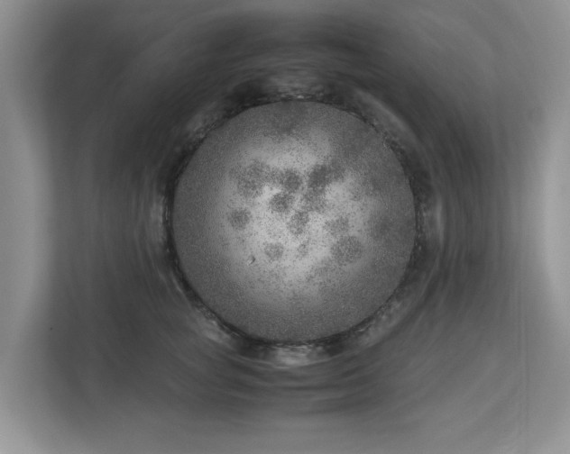 X0000112950757200908241342