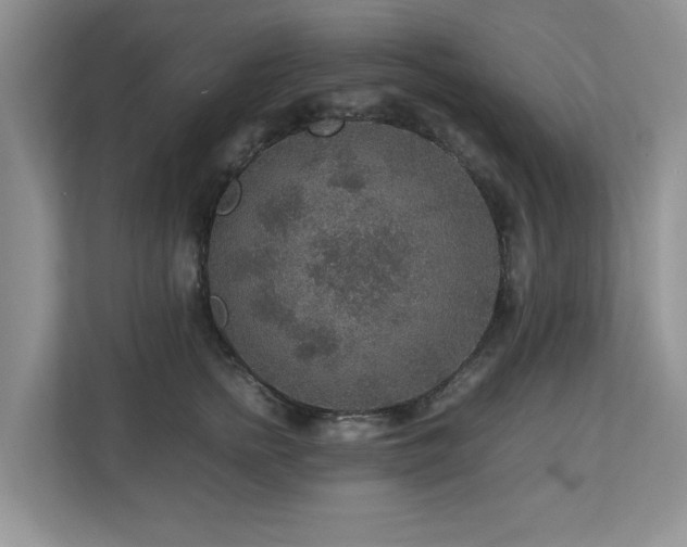 X0000112950758200908241342