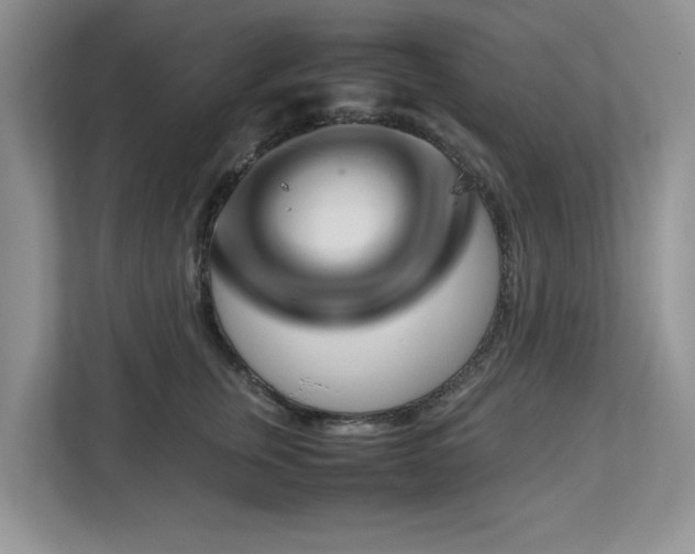 X0000112950759200908241342