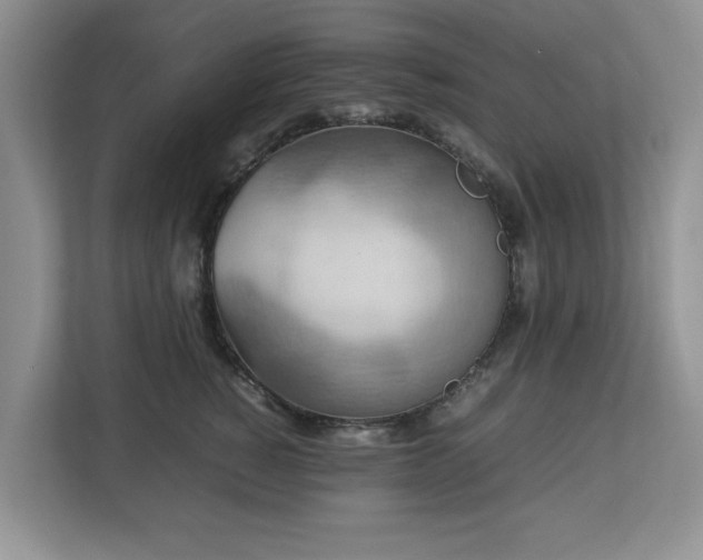 X0000112950760200908241342