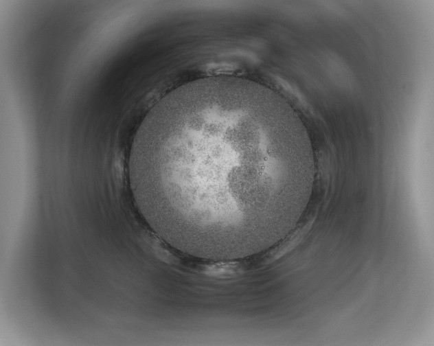 X0000112950761200908241342