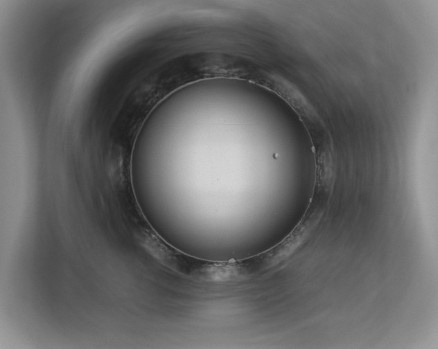 X0000112950762200908241342