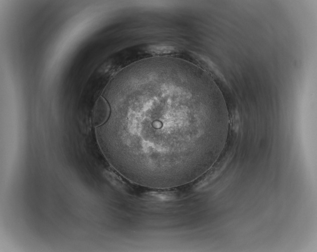 X0000112950763200908241342