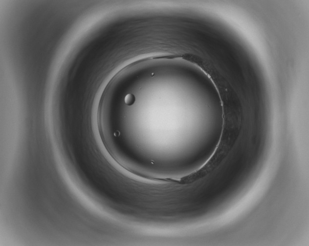 X0000112950766200908241342