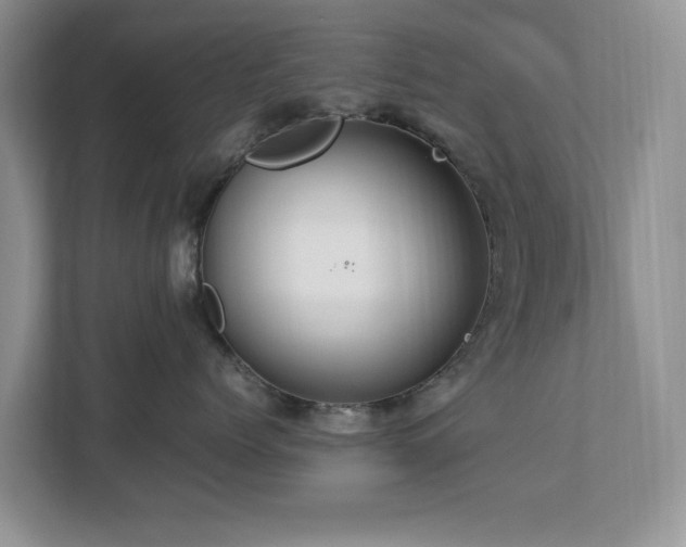 X0000112950768200908241342