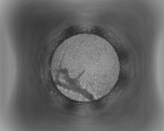 X0000112950769200908241342