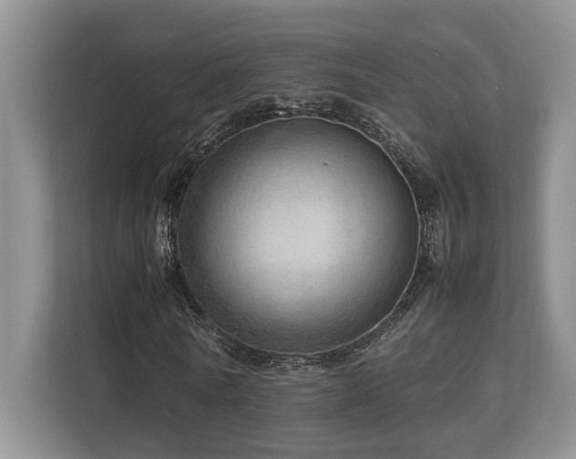 X0000112950770200908241342