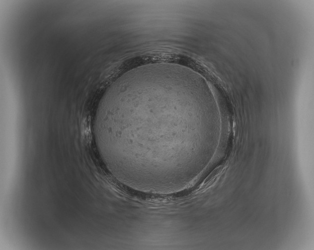 X0000112950771200908241342