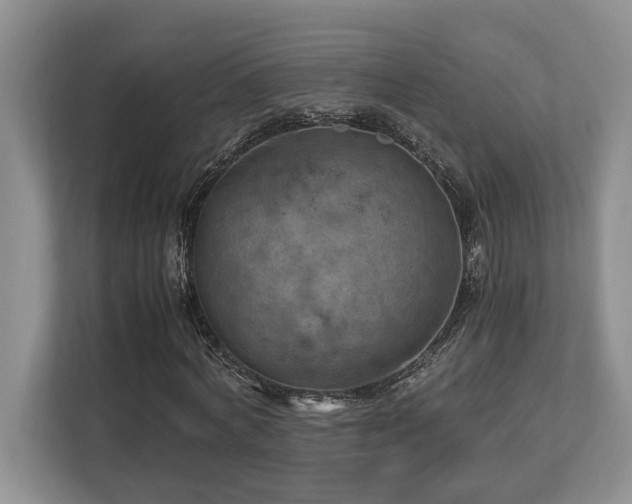 X0000112950772200908241342