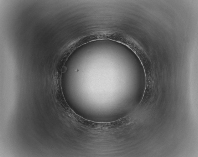 X0000112950773200908241342