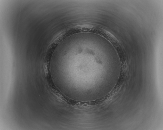 X0000112950774200908241342