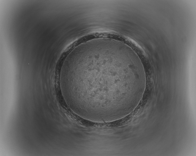 X0000112950775200908241342