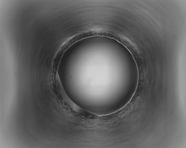 X0000112950776200908241342