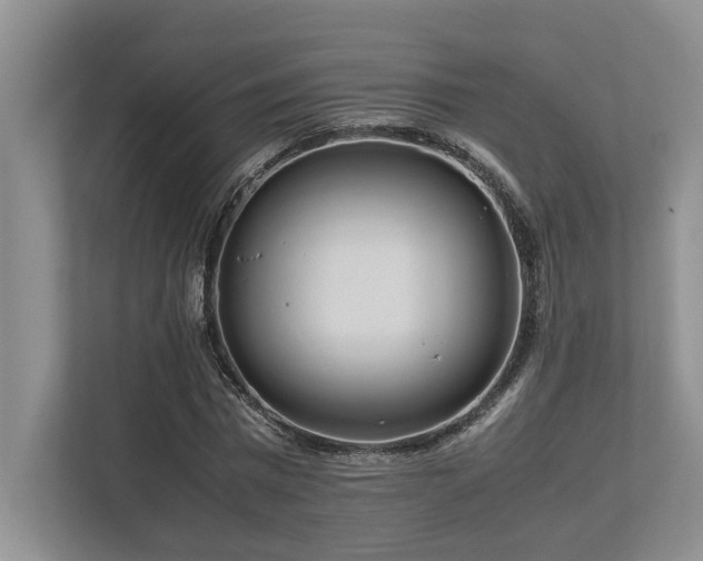 X0000112950777200908241342