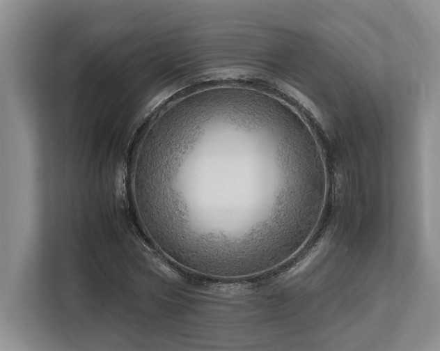 X0000112950778200908241342