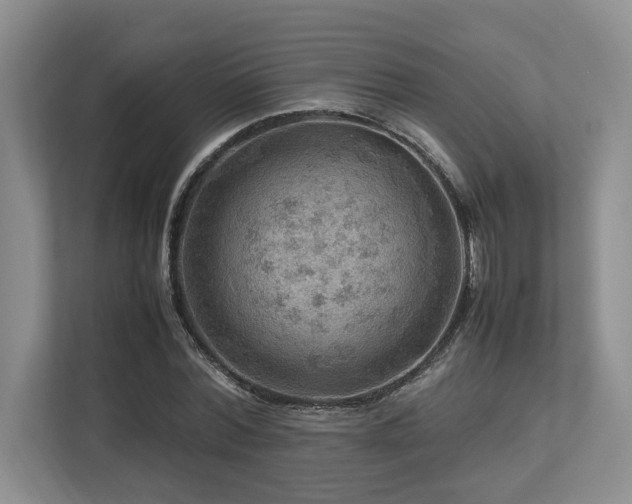 X0000112950780200908241342