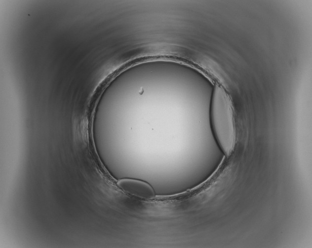 X0000112950781200908241342