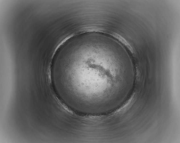 X0000112950782200908241342