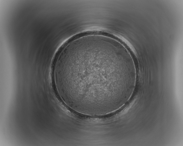 X0000112950783200908241342