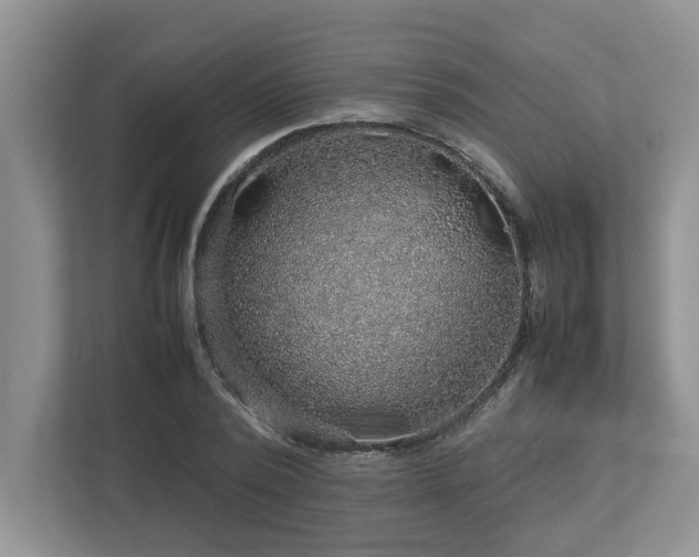 X0000112950784200908241342