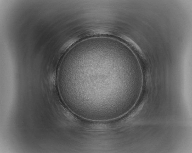 X0000112950785200908241342