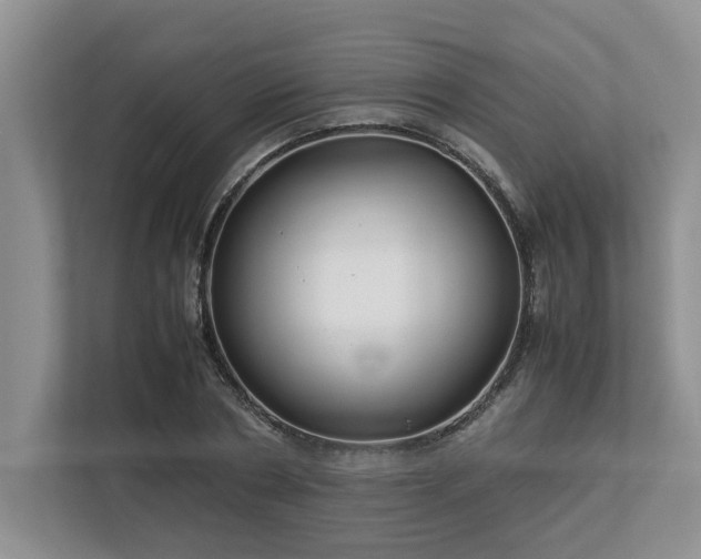 X0000112950786200908241342