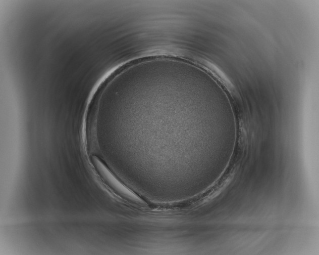 X0000112950788200908241342